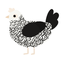 false morals, a white and sable chicken with a double-lace pattern