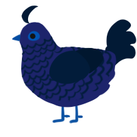 A navy and tumblr chicken with a lace pattern