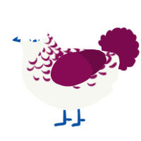 A white and wine chicken with a half-lace pattern