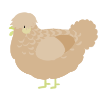 A beige chicken with a half-lace pattern