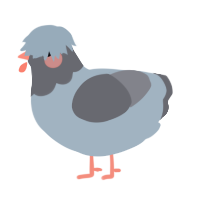 A bark and ash chicken with a head pattern