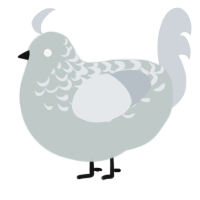 A silver and mist chicken with a half-lace pattern