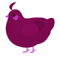 A wine chicken with a half-lace pattern