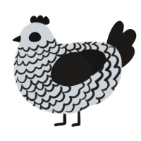A mist and sable chicken with a lace pattern