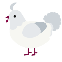A white and mist chicken with a head pattern