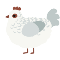 A white and silver chicken with a half-lace pattern