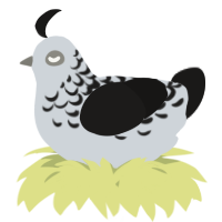 A mist and sable chicken with a half-lace pattern