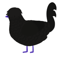 Punk Rock, a sable and black chicken with a lace pattern