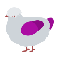 A mist and plum chicken