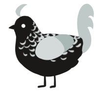 A sable and silver chicken with a half-lace pattern