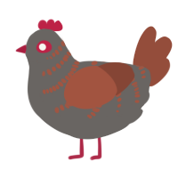 A grey and russet chicken with a half-bar pattern