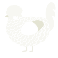 A white chicken with a lace pattern