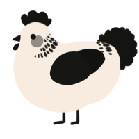 A cream and black chicken with a neck-band pattern
