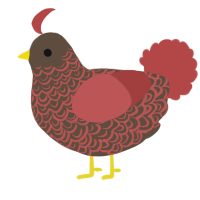 A bark and red chicken with a double-lace pattern