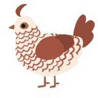 A cream and russet chicken with a lace pattern