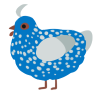 A sapphire and silver chicken with a speckle pattern