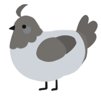 A mist and grey chicken with a head pattern