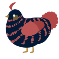 A tumblr and red chicken with a bar pattern