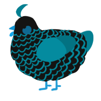A black and sea chicken with a lace pattern