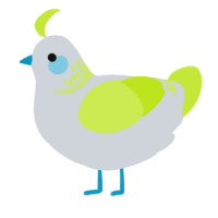 A mist and lime chicken with a neck-band pattern