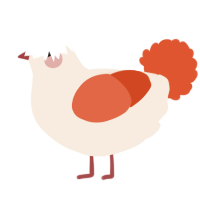 A cream and vermilion chicken