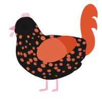 A sable and vermilion chicken with a speckle pattern
