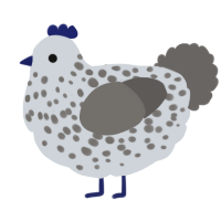 A mist and grey chicken with a speckle pattern