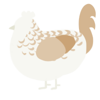 A white and beige chicken with a half-lace pattern