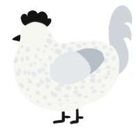 A white and mist chicken with a speckle pattern
