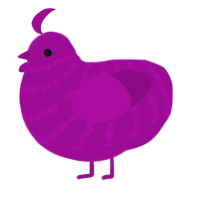 A plum chicken with a bar pattern