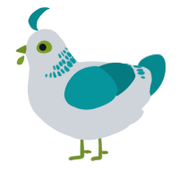 A mist and teal chicken with a neck-band pattern