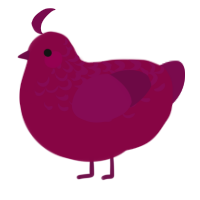 A maroon and wine chicken with a half-lace pattern