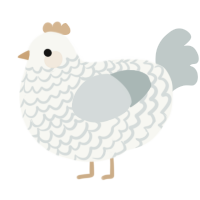A white and silver chicken with a lace pattern