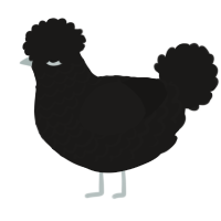 A sable chicken with a lace pattern