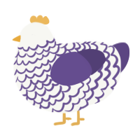 A white and overcast chicken with a lace pattern