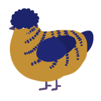 A gold and navy chicken with a half-bar pattern