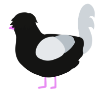 A black and mist chicken