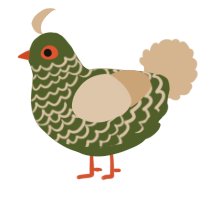 A olive and beige chicken with a lace pattern