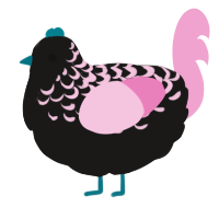 A sable and pink chicken with a half-lace pattern