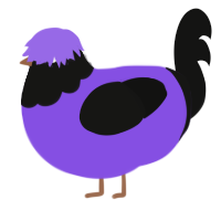 A blurple and black chicken with a head pattern