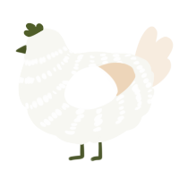 A white and cream chicken with a bar pattern