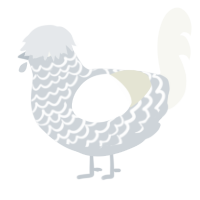 A mist and white chicken with a lace pattern