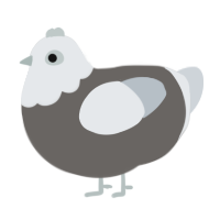 A grey and mist chicken with a head pattern
