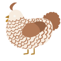 A cream and brown chicken with a lace pattern