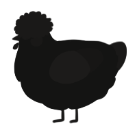 A black and sable chicken
