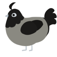A ash and sable chicken with a head pattern