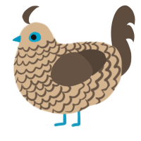 A beige and bark chicken with a lace pattern