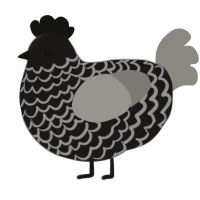 A sable and ash chicken with a lace pattern