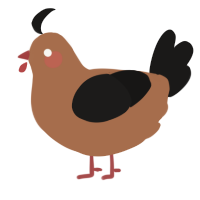 A brown and sable chicken