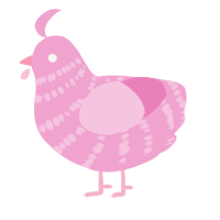 A pink chicken with a bar pattern